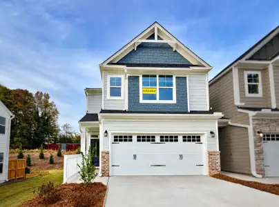 New construction Single-Family house 14 Trace Blf, Dawsonville, GA 30534 plan Southhampton - image