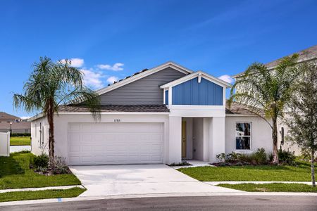 New construction Single-Family house 12808 Oak Hill Wy, Parrish, FL 34219 null- photo 3 3