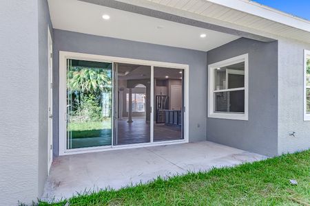 New construction Single-Family house 51 E Diamond Dr, Palm Coast, FL 32164 null- photo 3 3