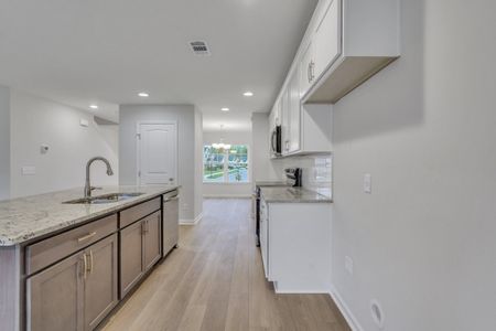 Sweetwater by Smith Family Homes in Brunswick - image 6