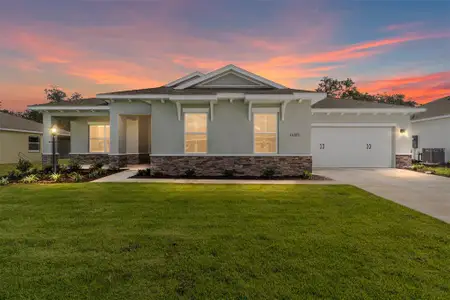 New construction Single-Family house 10373 S W 105th Ct, Ocala, FL 34481 plan Magnolia - image