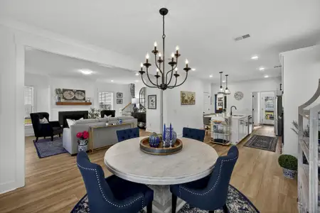 New construction Single-Family house 106 Pine Waters Ln, Summerville, SC 29483 - image 6