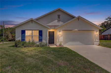 New construction Single-Family house 13419 Chippendale St, Spring Hill, FL 34609 - image