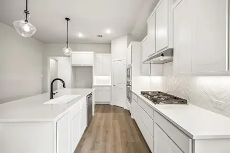 New construction Single-Family house 2254 Terlingua Dr, Waxahachie, TX 75165 plan Blue Jay - image 8
