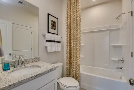 New construction Single-Family house 293 Summer Orchard Dr, Lexington, SC 29072 plan Idlewild - image