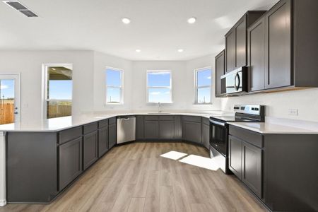 New construction Single-Family house 13233 Kincane Dr, Del Valle, TX 78617 - image 5