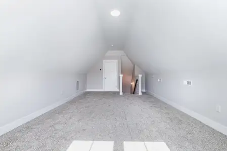 New construction Single-Family house 103 Spumante Ct, Princeton, NC 27569 - image 20