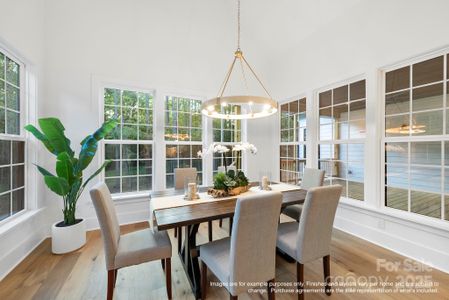 New construction Single-Family house 19155 Newburg Hill Rd, Davidson, NC 28036 null- photo 13 13