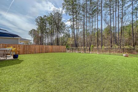 New construction Single-Family house 215 Camellia Bloom Dr, Moncks Corner, SC 29461 Blue Heron- photo 36 36