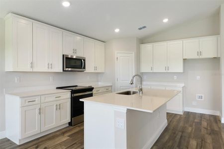 New construction Single-Family house 6185 Sw 97Th St, Ocala, FL 34476 - image 4