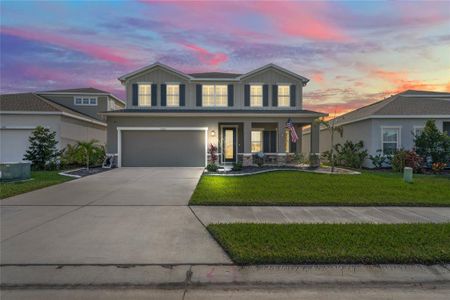 New construction Single-Family house 10507 Daybreak Glen, Parrish, FL 34219 - photo 0