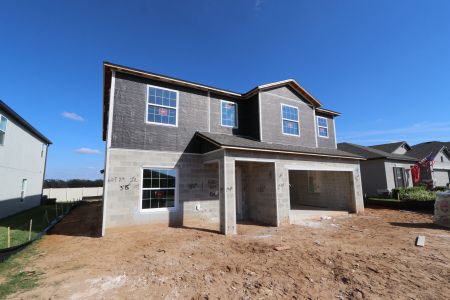 New construction Single-Family house 12294 Hilltop Farms Dr, Dade City, FL 33525 Malibu- photo 81 81