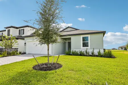New construction Single-Family house 8721 Canard Cv, Palmetto, FL 34221 plan Panama - image