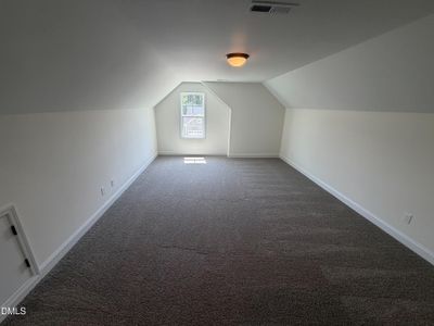 New construction Single-Family house 192 Fish Camp Dr, Eagle Rock, NC 27591 - image 11