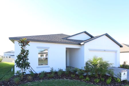 New construction Single-Family house 12193 Hilltop Farms Dr, Dade City, FL 33525 Sentinel- photo 63 63