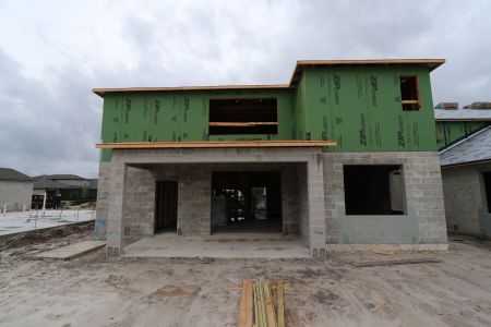 New construction Single-Family house 4877 Foxglove Cir, Lakeland, FL 33811 Alenza- photo 30 30