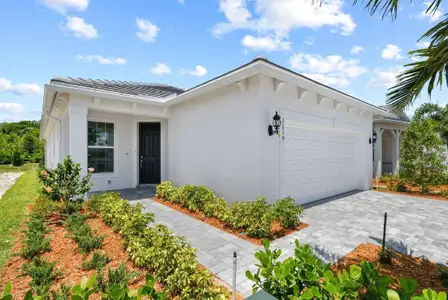 New construction Single-Family house 1239 Haven Cir, Vero Beach, FL 32960 plan Contour - image