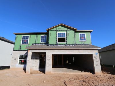 New construction Single-Family house 12294 Hilltop Farms Dr, Dade City, FL 33525 Malibu- photo 49 49