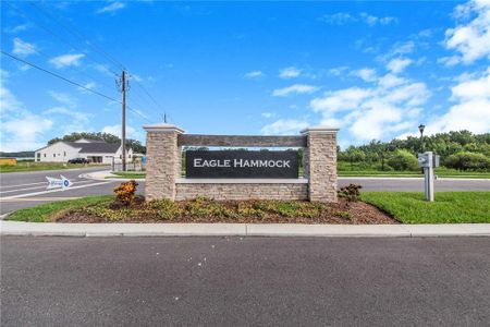 Eagle Hammock by Highland Homes of Florida in Eagle Lake - photo 0