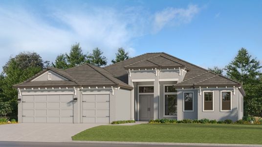 New construction Single-Family house Lakewood Ranch, FL 34211 null- photo 0