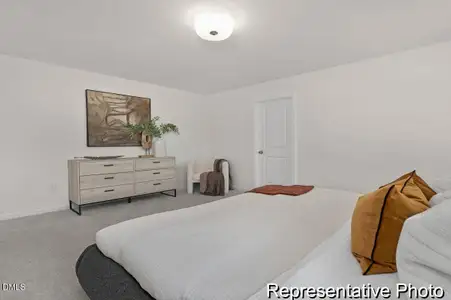 New construction Single-Family house 206 Oriole Dr, Unit 166p, Angier, NC 27501 - image