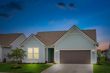 New construction Single-Family house 310 Autumn Azalea Way, Summerville, SC 29486 Palmary- photo 0