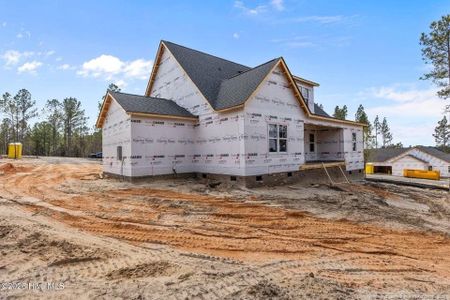 New construction Single-Family house 139 Vista Ridge Ave, Sanford, NC 27332 - image