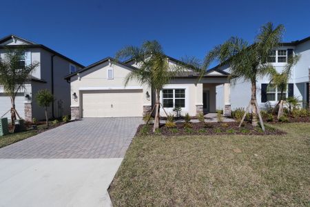 New construction Single-Family house 4763 Beachrose Way, Lakeland, FL 33811 Picasso- photo 55 55