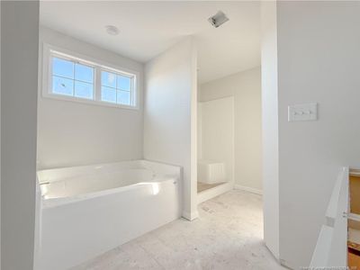 New construction Single-Family house 3937 Blue Springs Rd, Red Springs, NC 28377 - image