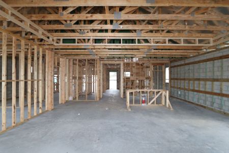 New construction Single-Family house 20050 Oriana Loop, Land O' Lakes, FL 34638 Santa Monica- photo 11 11