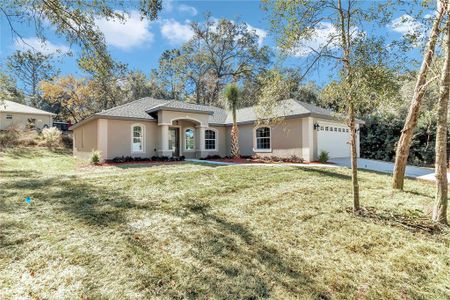 New construction Single-Family house 19610 Sw 93Rd Pl, Dunnellon, FL 34432 null- photo 36 36