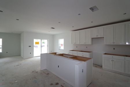 New construction Single-Family house 12176 Hilltop Farms Dr, Dade City, FL 33525 Malibu- photo 89 89