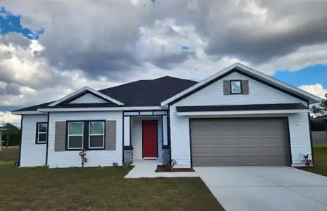 New construction Single-Family house 9219 Northcliffe Blvd, Spring Hill, FL 34606 - image