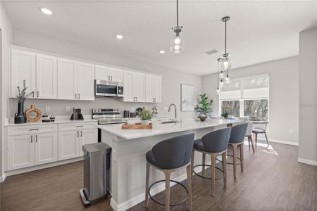 New construction Single-Family house 7030 Sw 128Th St, Ocala, FL 34473 IBIS- photo 6 6