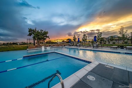 New construction Duplex house 5032 N Tempe St, Aurora, CO 80019 - image 11