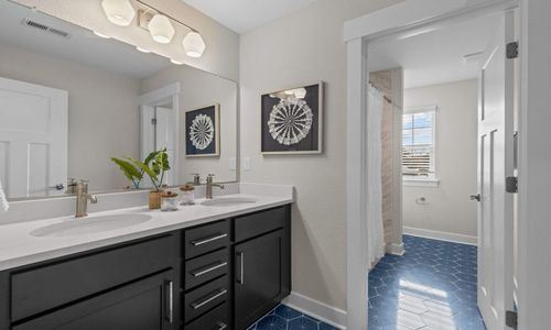 New construction Single-Family house 117 Reedgrass Dr, Little River, SC 29566 plan The Mangrove - image 20