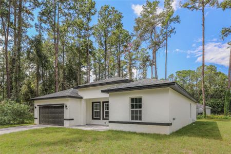 New construction Single-Family house Ocala, FL 34473 - image
