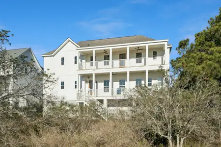 New construction Single-Family house 3908 Seafood Rd, Awendaw, SC 29429 plan Pinckney - image