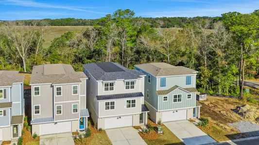 New construction Single-Family house 126 Heartleaf Rd, Hilton Head Island, SC 29926 plan Palmetto - image