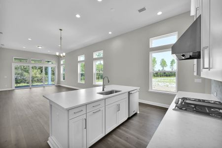 New construction Single-Family house 12193 Mariposa Ave, Jacksonville, FL 32256 plan Naples - image 10