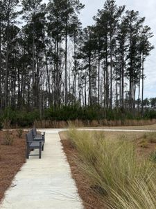 New construction Single-Family house 500 Ocean Mist Wy, Summerville, SC 29486 plan Adventurer - image 14