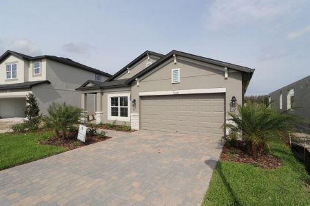 New construction Single-Family house 31229 Denham Ridge Ln, Wesley Chapel, FL 33545 Newport II- photo 182 182