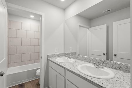 New construction Single-Family house 26119 Venus Trap Trl, Katy, TX 77493 plan Mulberry - image 4