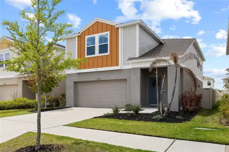 New construction Single-Family house 12943 Camarillo Pl, Lithia, FL 33547 plan Seville - image