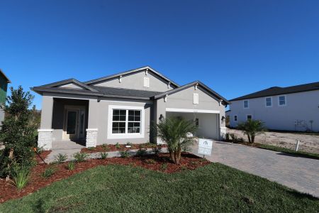 New construction Single-Family house 31229 Denham Ridge Ln, Wesley Chapel, FL 33545 Newport II- photo 51 51