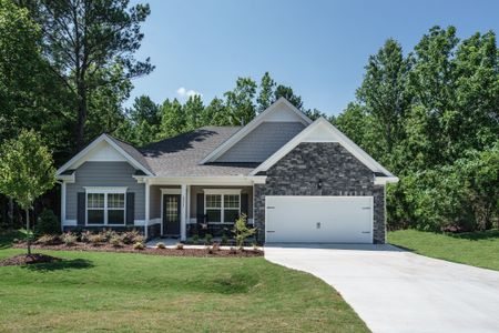 New construction Single-Family house 19 Oriental Street, Angier, NC 27501 - photo 0