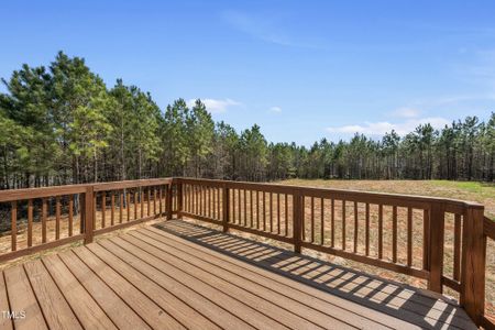 New construction Single-Family house 40 Misty Mtn, Spring Hope, NC 27882 null- photo 34 34