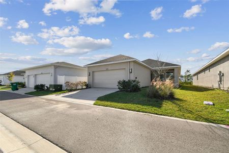 New construction Single-Family house 28748 Rambutan Dr, Wesley Chapel, FL 33543 plan The Mapleton - image