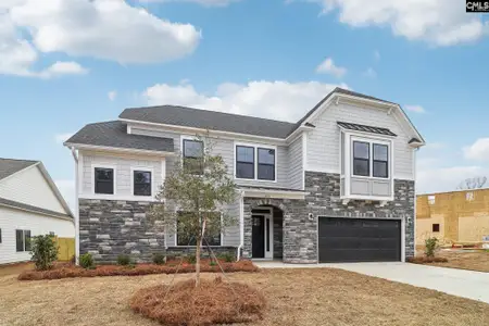 New construction Single-Family house 242 Murray Falls Ln, Chapin, SC 29036 plan Ashbourne II - image