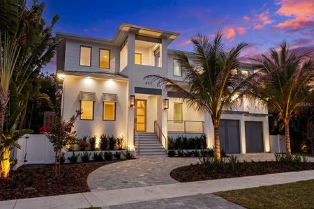 New construction Single-Family house 423 S Royal Poinciana Dr, Tampa, FL 33609 - image